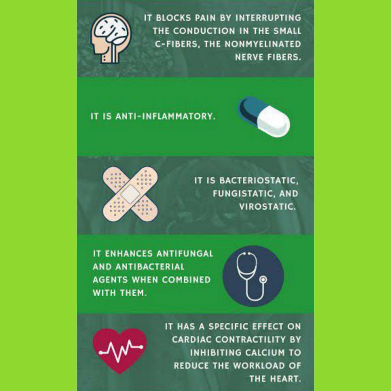 Exploring the Use of DMSO for Weight Loss Is It Safe and Effective